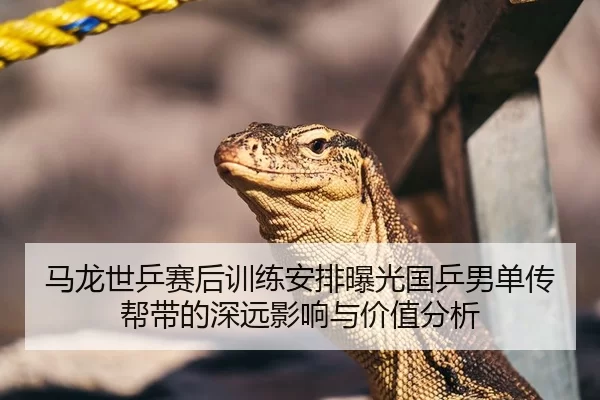 马龙世乒赛后训练安排曝光国乒男单传帮带的深远影响与价值分析
