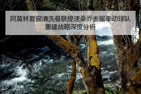 阿莫林夏窗清洗曼联提速桑乔去留牵动球队重建战略深度分析