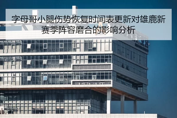 字母哥小腿伤势恢复时间表更新对雄鹿新赛季阵容磨合的影响分析
