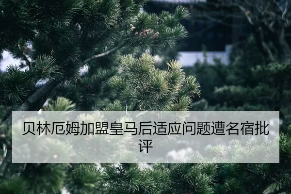 bei-lin-e-mu-jia-meng-huang-ma-hou-shi-ying-wen-ti-zao-ming-su-pi-ping-2-326.jpg