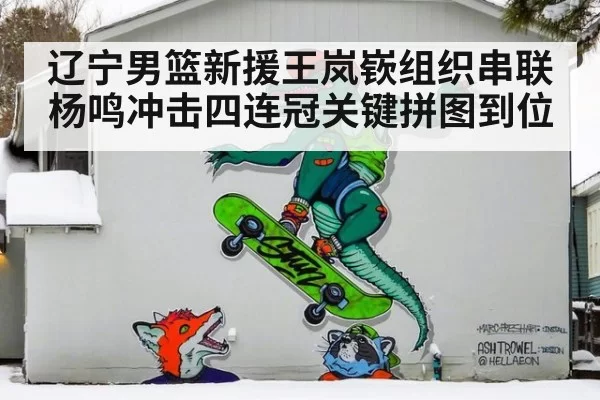 辽宁男篮新援王岚嵚组织串联杨鸣冲击四连冠关键拼图到位