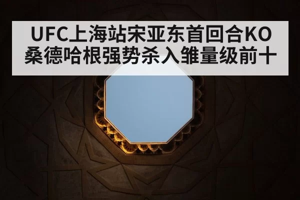 UFC octagon